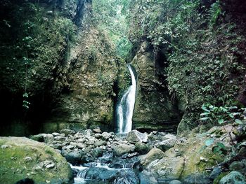 Stream flowing through rocks