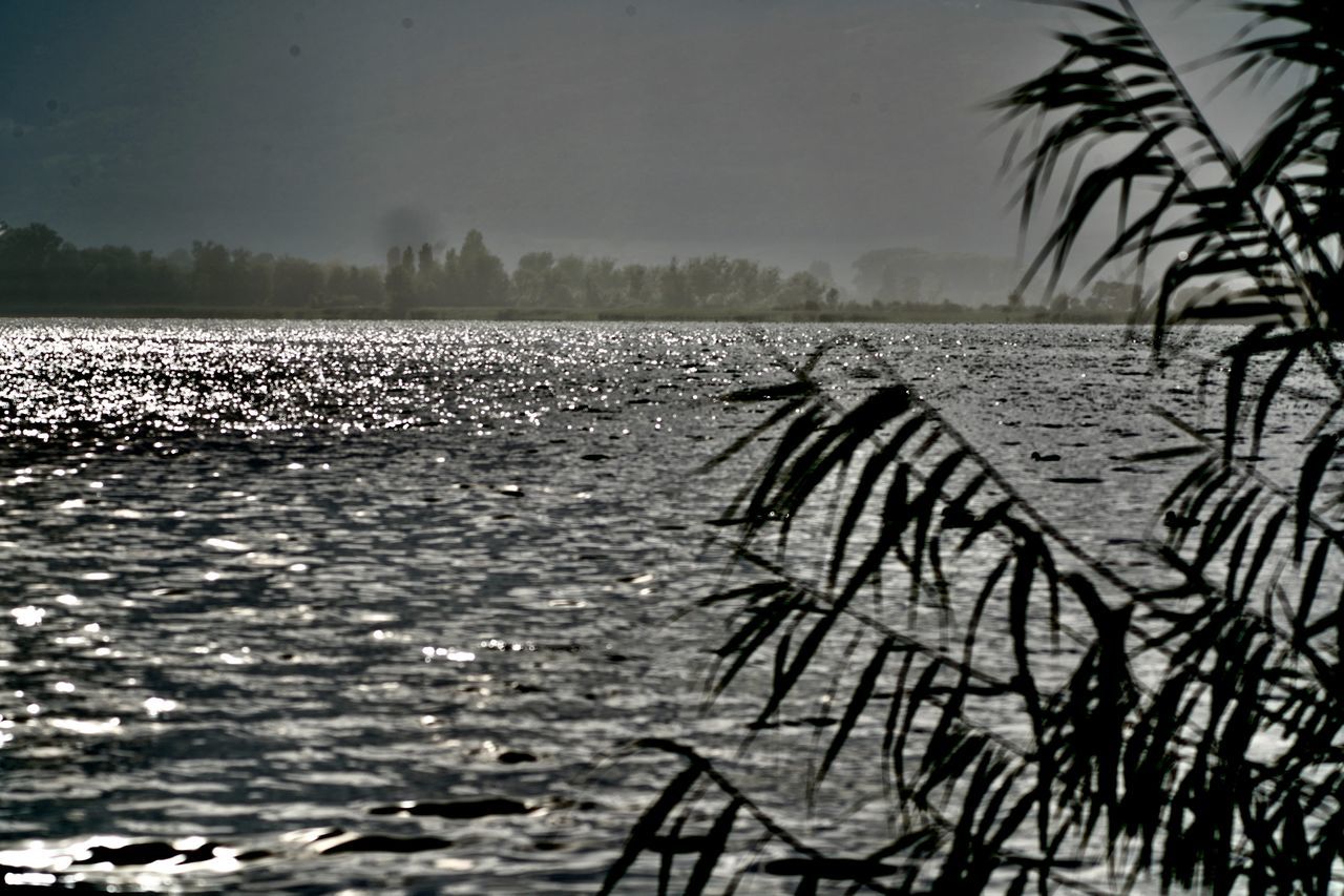 SCENIC VIEW OF LAKE