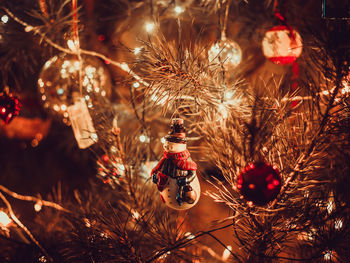 Close-up of christmas tree