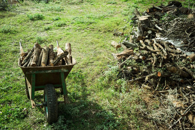 An old rusty wheelbarrow loaded with dry chopped firewood in a pile stands on the ground 