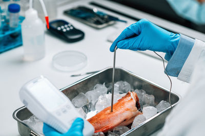 Food quality control inspection of sea fish 