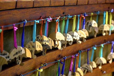 Close-up of padlocks hanging on railing