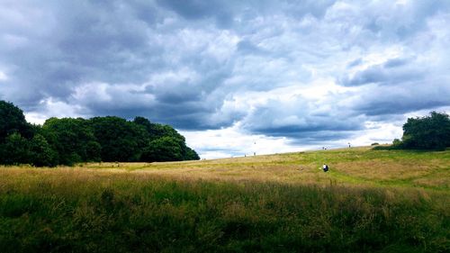 Scenic view of field against sky