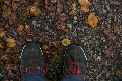 Low section of man standing on autumn leaves