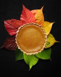 Close-up of flower over black background