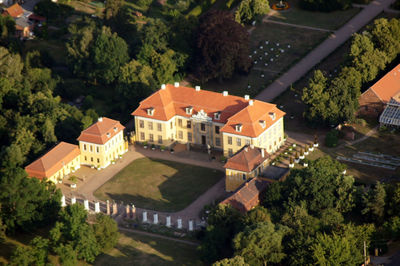 High angle view of trees and buildings in city