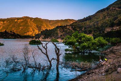 Scenic view of river amidst trees against sky