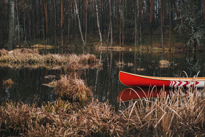 Beautiful forest lake and a canadian canoe. red wooden boat floating on the pond, spring  season