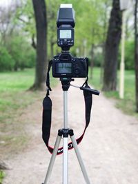 Close-up of camera on tree