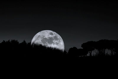 Low angle view of silhouette trees against sky at night