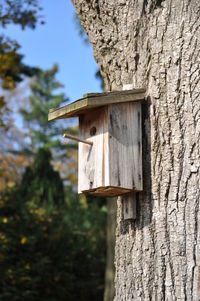 Wooden structure on tree trunk