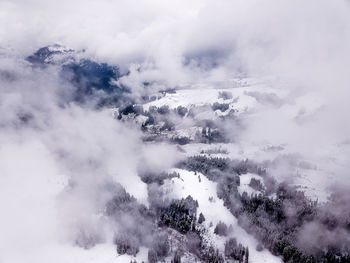 Aerial view of snow covered trees against sky