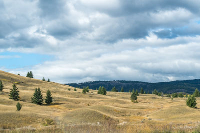 Scenic view of landscape against sky