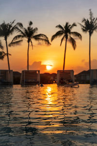 Orange tropical sunset with swimming pool water reflection and palm trees on background
