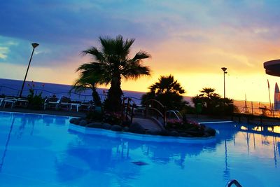 Palm trees at sunset