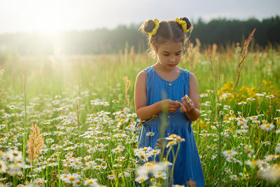 Little girl picking a daisies in a field