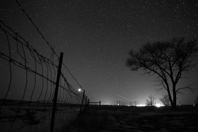 Silhouette trees against sky at night