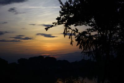 Silhouette trees against sky at sunset