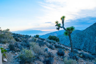 Scenic view of mountains against cloudy sky