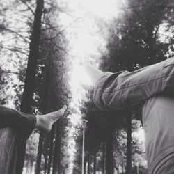 Woman standing on tree trunk