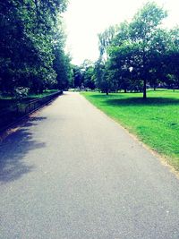 Empty road along trees