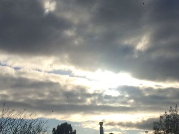 Low angle view of silhouette trees against sky