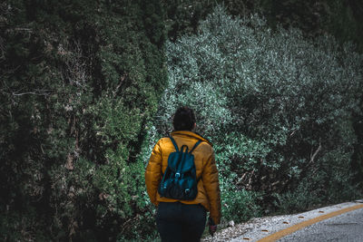 Rear view of man standing on rock in forest