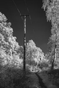 Trees on landscape against sky