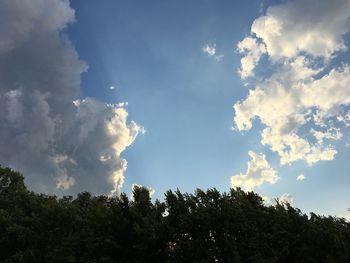 Low angle view of trees against sky