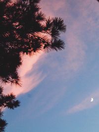 Low angle view of palm tree against sky