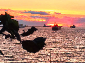 Scenic view of sea at sunset
