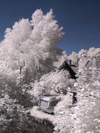 View of trees against blue sky