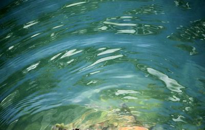 High angle view of swimming in lake