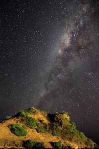 Low angle view of starry sky