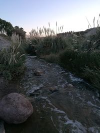 Scenic view of river against sky