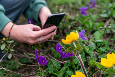 Midsection of woman using mobile phone