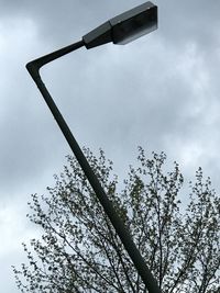 Low angle view of tree against sky