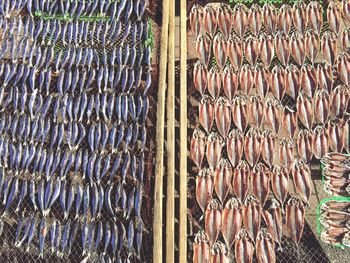 Fish for sale at market stall