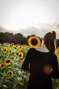 Low angle view of woman standing on sunflower field against sky