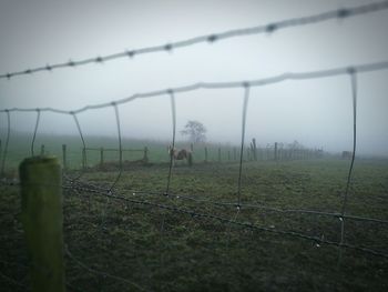 Close-up of fence against sky