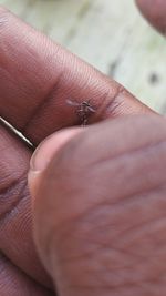 Close-up of cropped hand