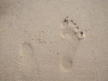 High angle view of footprints on sand