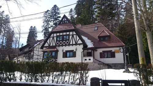 Houses by trees on snow covered house against sky