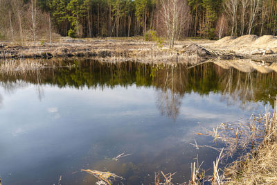 Reflection of trees in lake