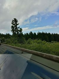 Road by trees against sky