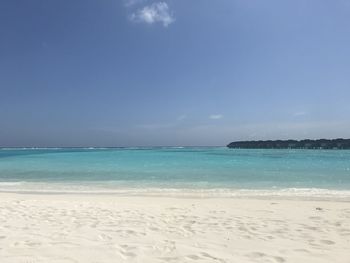 Scenic view of beach against blue sky