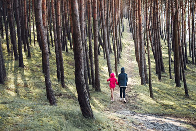 Rear view of people walking in forest