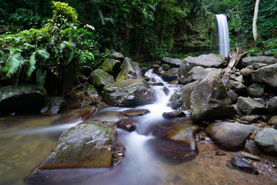 Stream flowing through rocks in forest