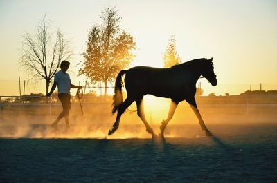 Man with horse against sky during sunset