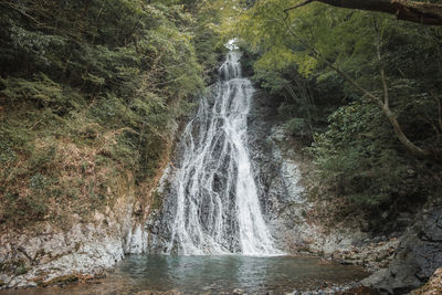 Scenic view of waterfall in forest